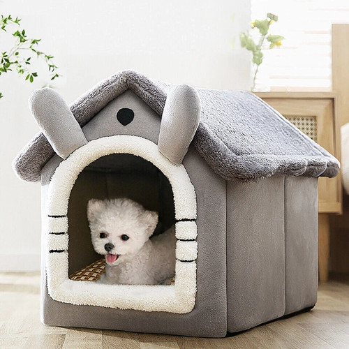 Pet cat kitten - beds, igloo