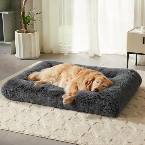 Extra large dog - dog, cat