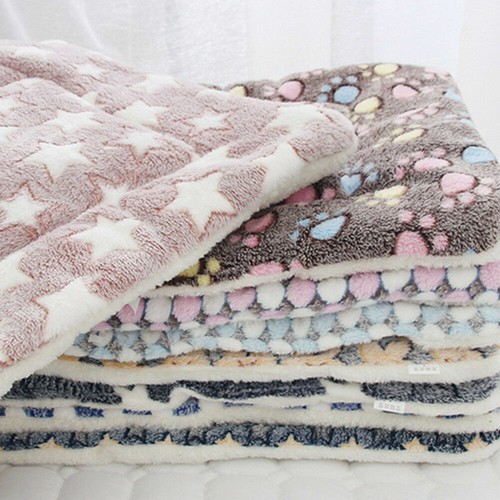 Puppy pet home blanket cat - pet,