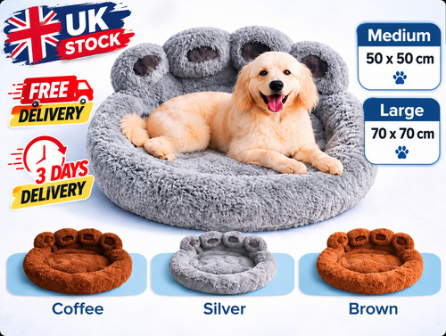 Plush pet cat - plush, dog