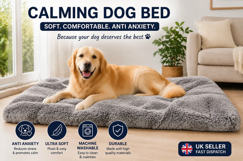 Large calming dog - xl, xxl