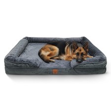 Orthopedic Memory Foam Dog
