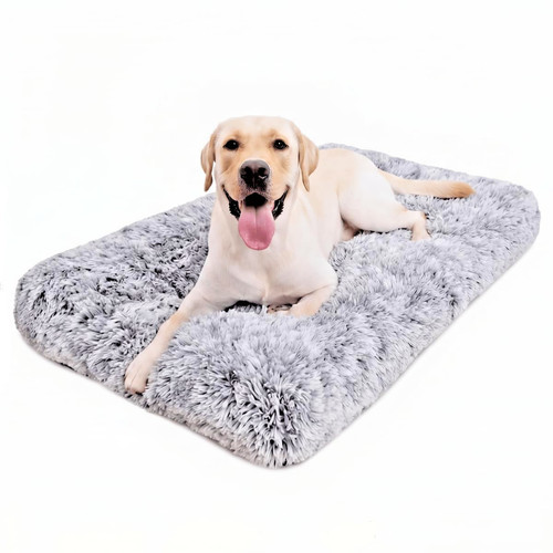 Jaspuriea large dog - jaspuriea, bed
