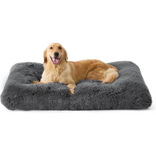 Large dog bed - dog, pet