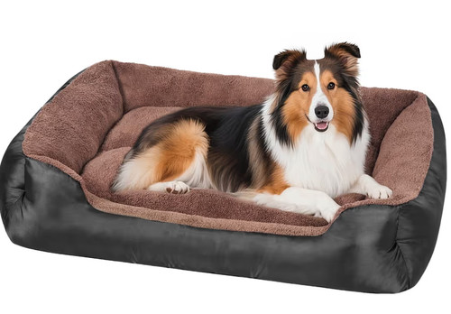 New dog beds - dog, washable