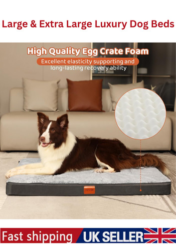 Premium orthopedic memory foam - orthopedic,