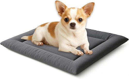 Dog bed pet - dog, bed,