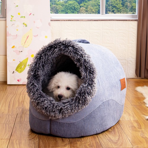 Large dog cat pet - cat,