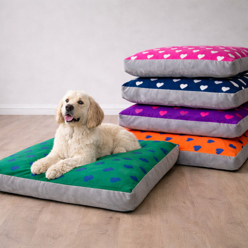 Luxury hearts design dog - luxury, dog/pet