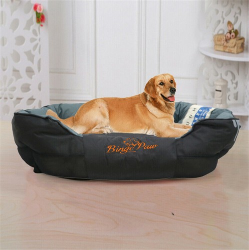 Bingopaw jumbo large - jumbo,