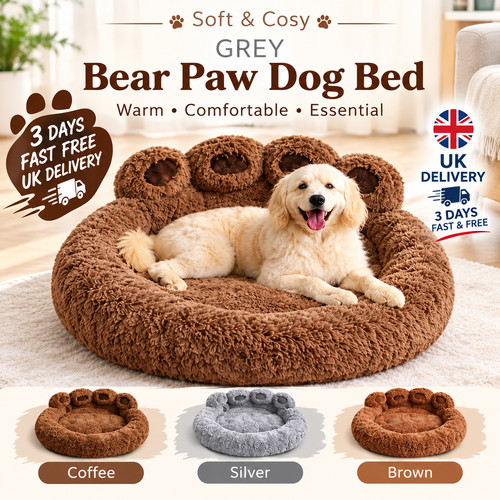 Plush pet cat - cat, dog