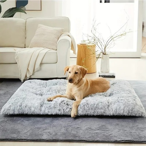 Warm plush dog - plush, mat