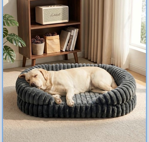 Orthopedic dog bed - dog,