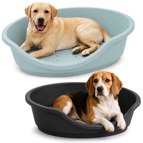 Hard plastic dog cat pet - plastic,