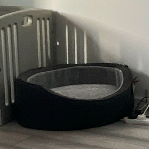Large oval sofa dog bed - sofa,