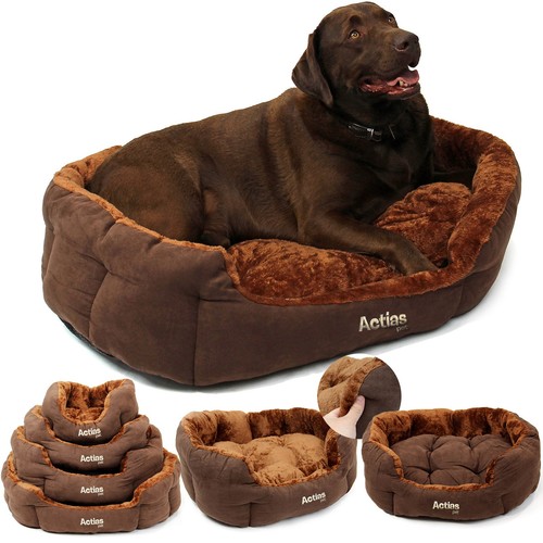 Dog bed pet cat puppy - cat,