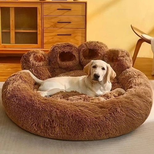 Calming non slip - calming, paw