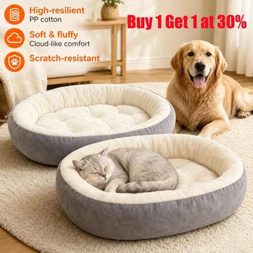Dog bed cat - dog,