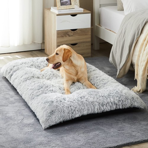 Light grey dog - bed, soft