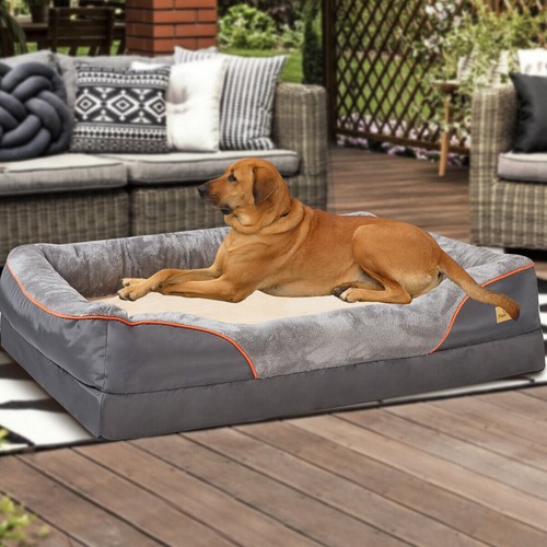 Luxury pet couch - luxury,