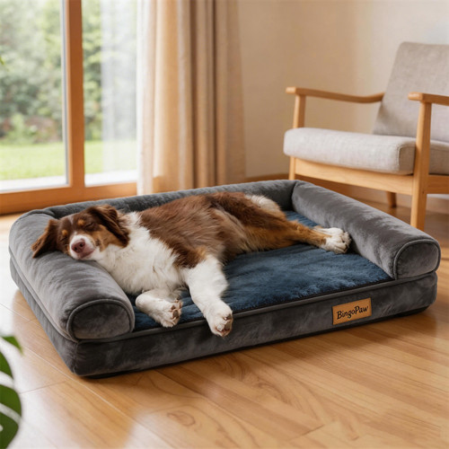 Bingopaw orthopedic dog - bingopaw,