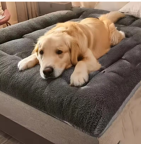 Extra large soft plush - extra,
