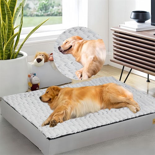 Jumbo memory foam platform - memory, dog