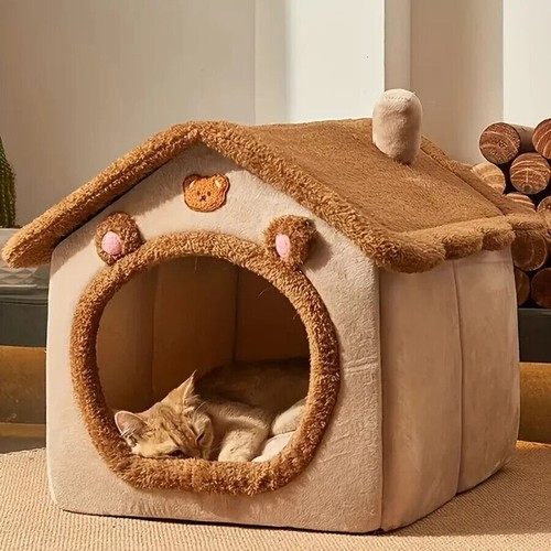 Pet cat kitten dog - pet, igloo