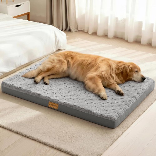 Orthopedic large dog bed - orthopedic,