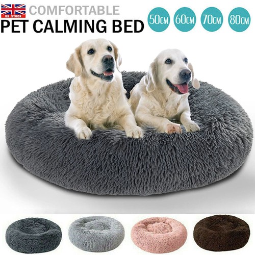 Comfy calming extra - comfy, large