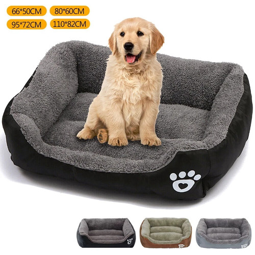 Dog bed cat - dog,