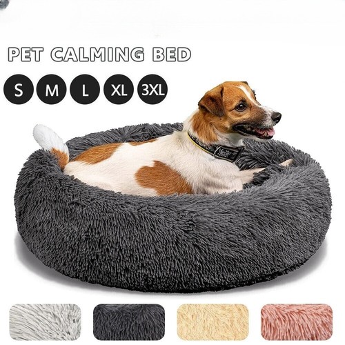 Extra large dog cat pet - extra,