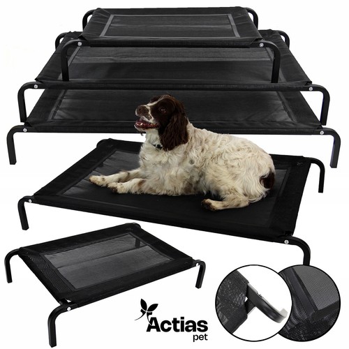 Elevated dog bed pet - dog, mesh