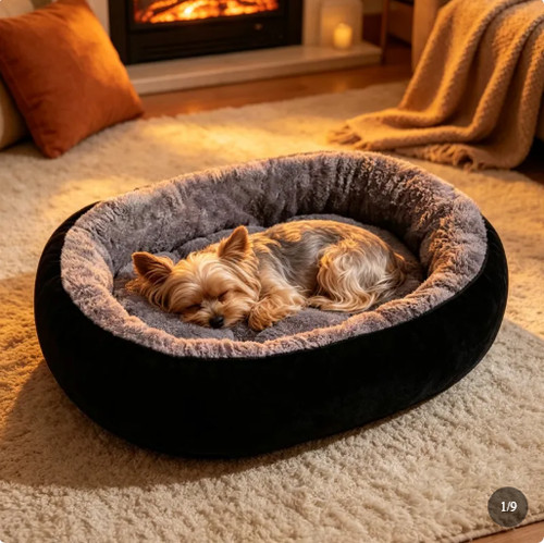 Small medium large dog bed - dog,