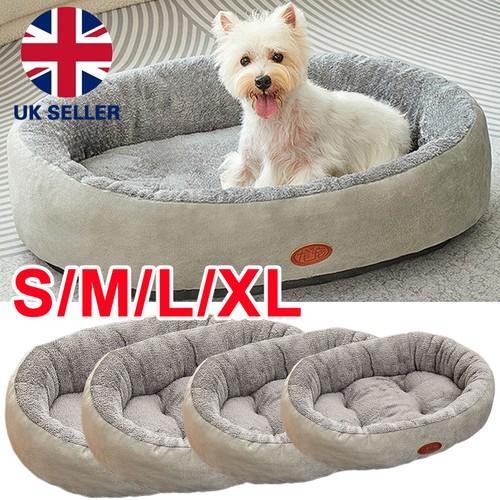 Pet dog bed cat - cat, luxury