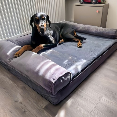 Xxl orthopedic dog bed - orthopedic,