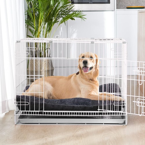 Xxl dog bed - bed, pet